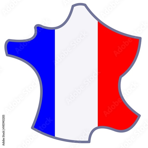 Carte France tricolore. Vecteur 