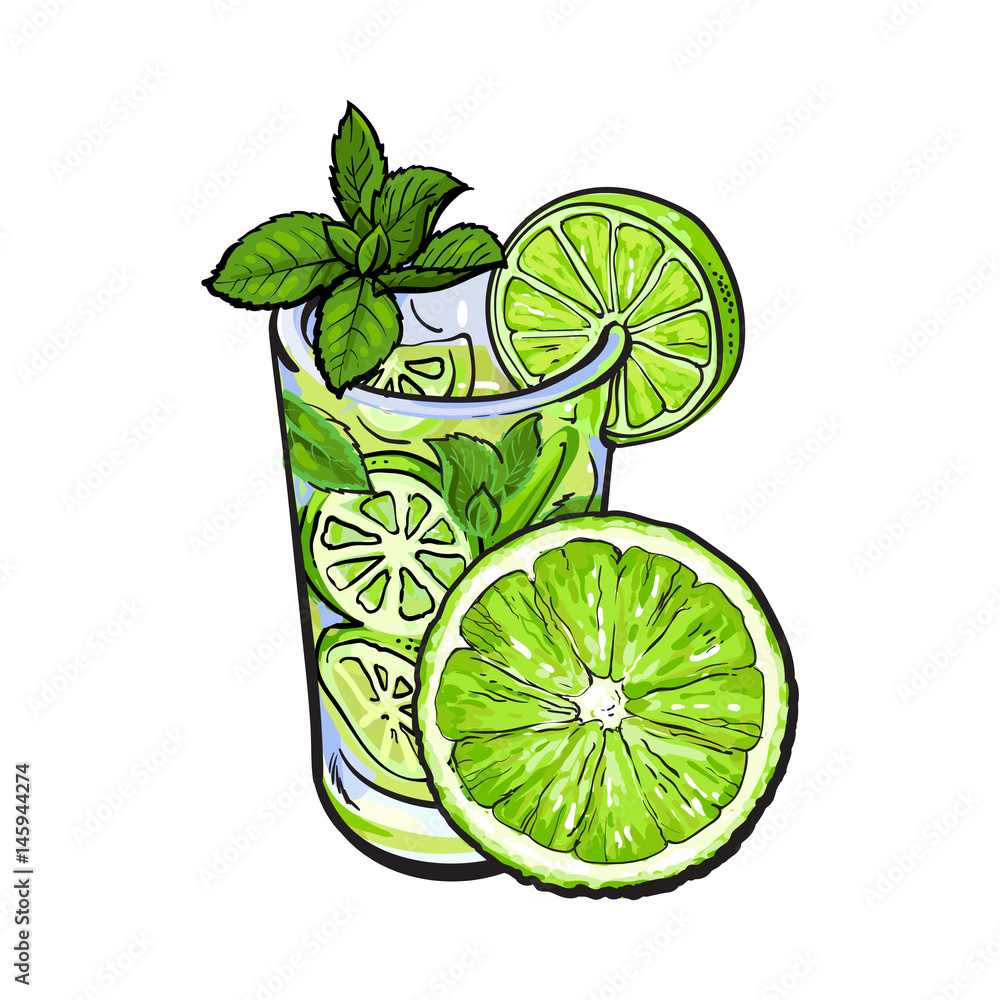 Half lime and glass of freshly squeezed juice, mojito, cocktail with ice  and mint, sketch vector illustration isolated on white background. Hand  drawn glass of lime juice and lime quarter Stock Vector