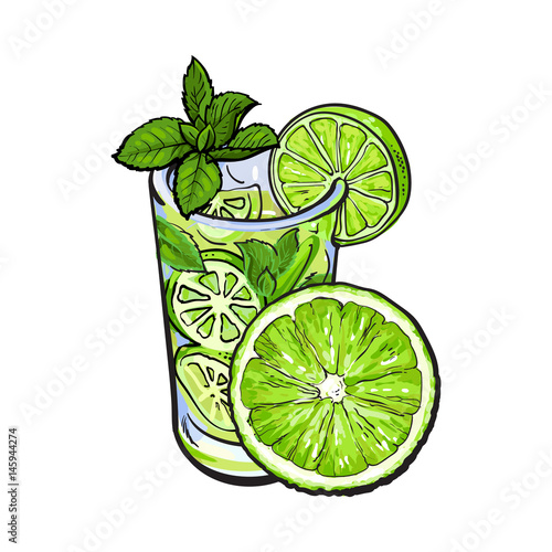 Half lime and glass of freshly squeezed juice, mojito, cocktail with ice and mint, sketch vector illustration isolated on white background. Hand drawn glass of lime juice and lime quarter