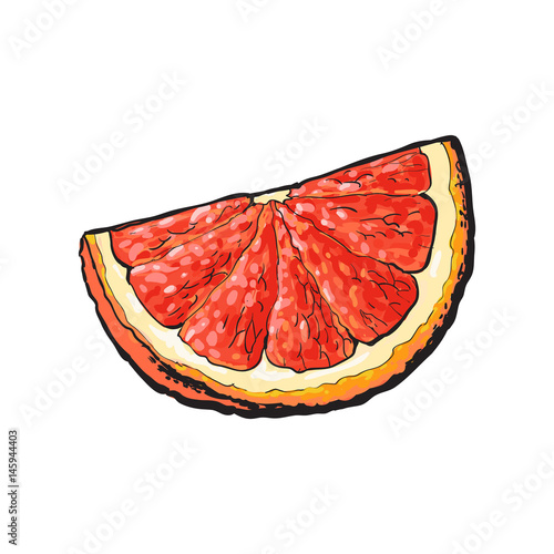 Quarter, segment, piece of ripe pink grapefruit, red orange, hand drawn sketch style vector illustration on white background. Hand drawing of unpeeled grapefruit qurter, piece