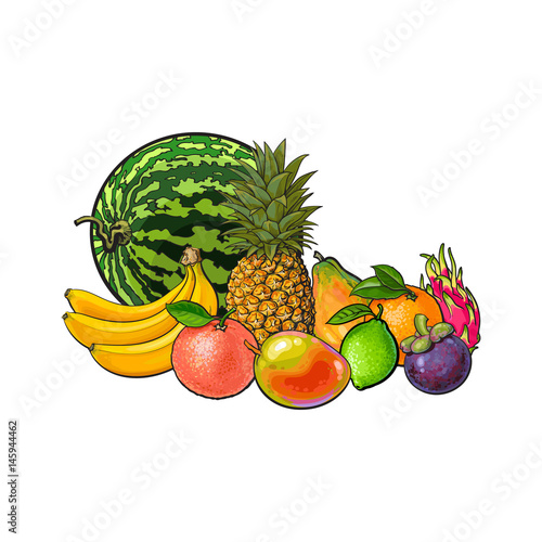 Tropical fruits - grapefruit orange lemon watermelon mango dragon fruit pineapple papaya banana mangosteen, sketch vector illustration on white background. Hand drawn set of tropical fruits