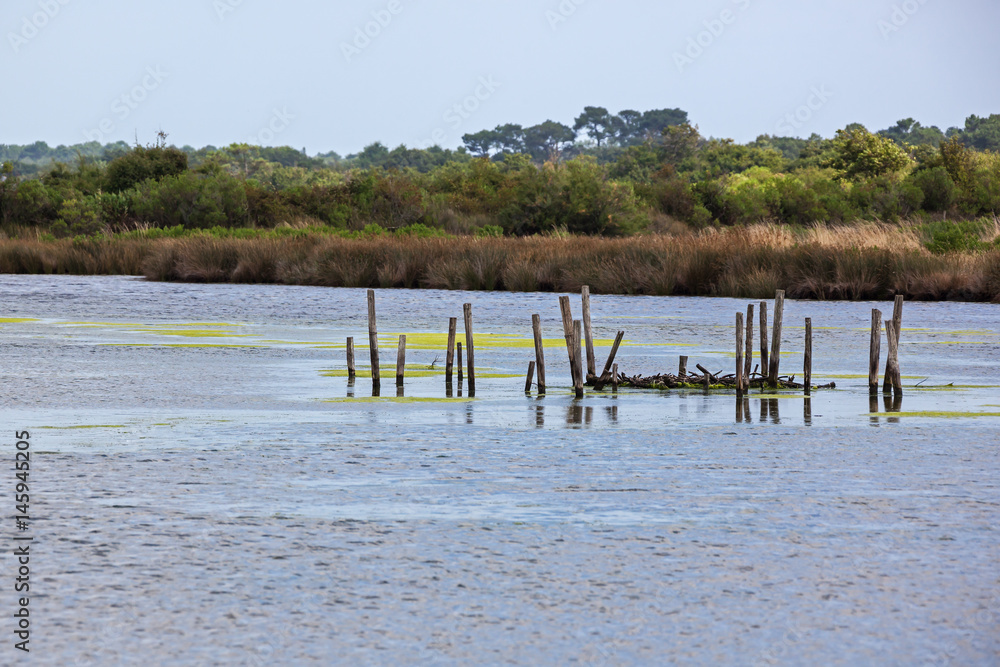 Artificial wooden island built on stilts for nesting birds in the middle of calm lake in ornithological park of the delta Arcachon bassin, France Artificial wooden island built on stilts for nesting birds in the middle of calm lake in ornithological park of the delta Arcachon bassin, France