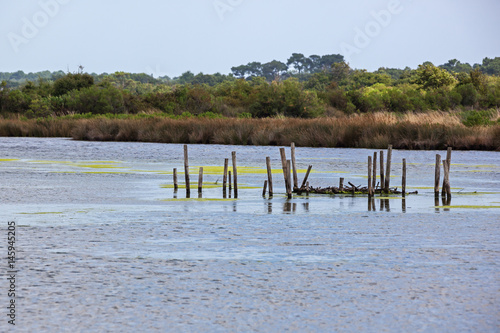 Artificial wooden island built on stilts for nesting birds in the middle of calm lake in ornithological park of the delta Arcachon bassin, France © Arkadii Shandarov