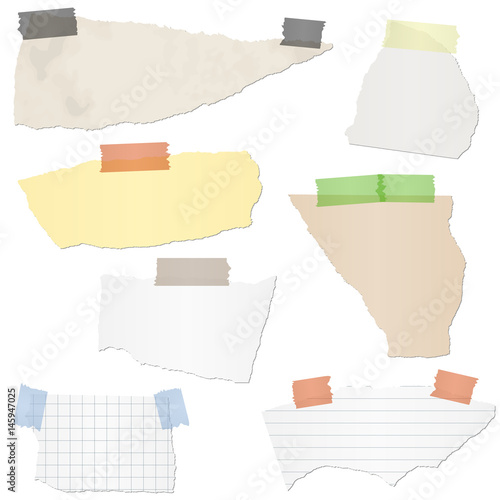 collection scrap of paper