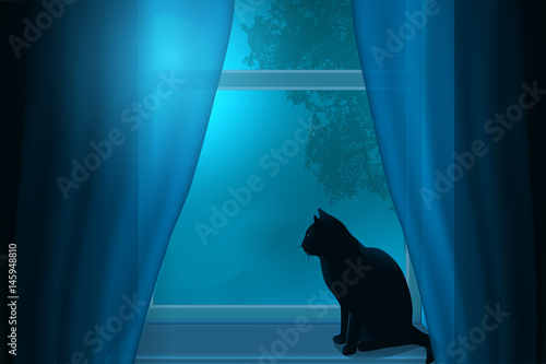 Silhouette of a cat sitting on a windowsill under the light of the moon in a window.