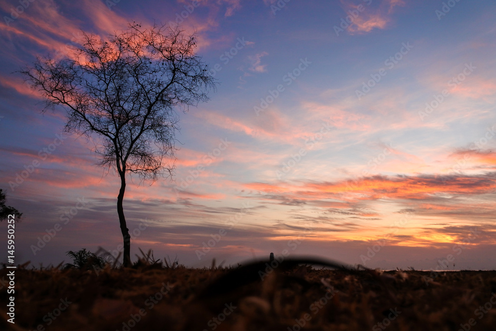 Obraz premium beautiful sky wallpaper