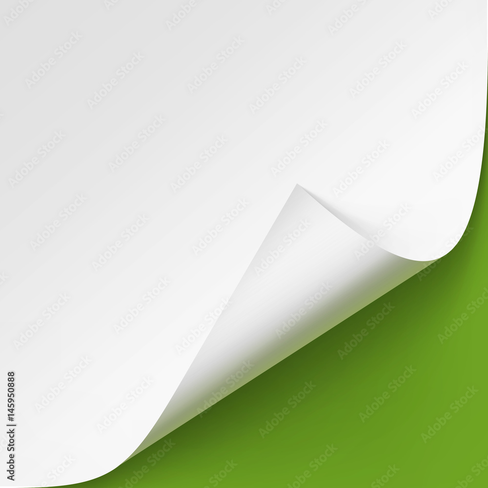 Vector Curled corner of White paper with shadow Mock up Close up Isolated on Green Background