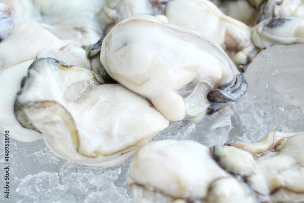 Oysters Oysters