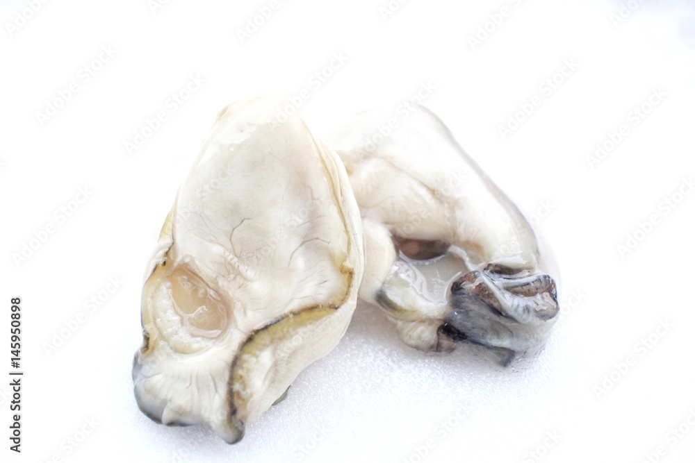 Oysters Oysters