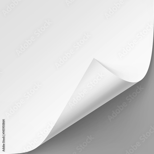 Vector Curled corner of White paper with shadow Mock up Close up Isolated on Gray Background
