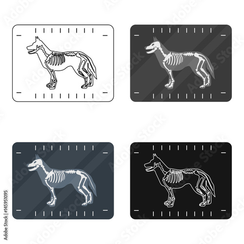 Dog x-ray icon in cartoon style isolated on white background. Veterinary clinic symbol stock vector illustration.