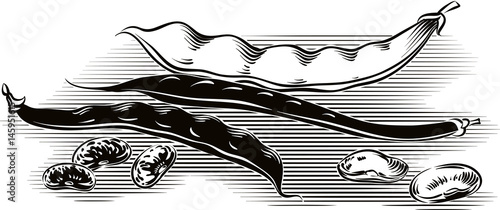 Two pods of green beans and yellow beans a pod.