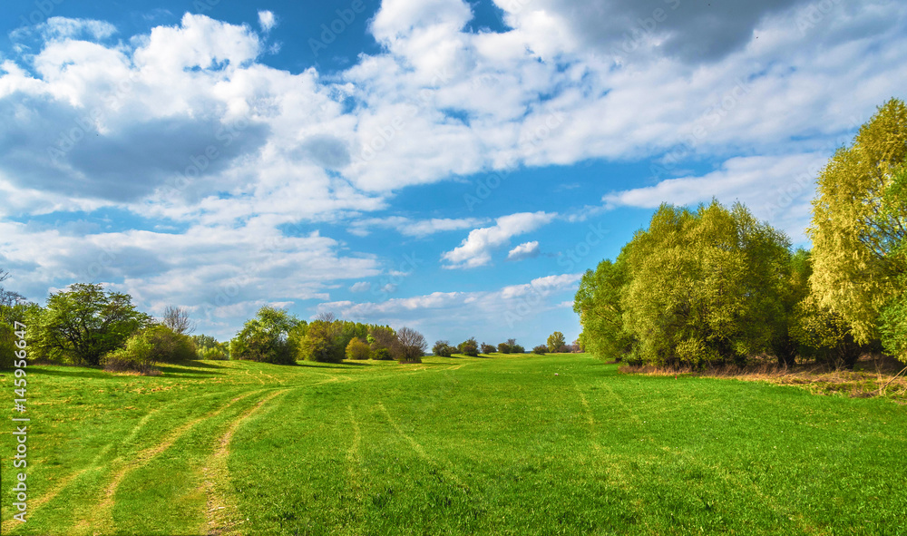 Obraz premium grüne weite Wiese im Frühling bei blauem Himmel mit Wolken