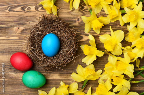 traditional easter colorful painted egg in nest, spring yellow narcissus