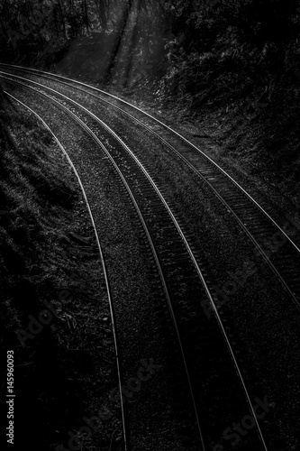 Track Light