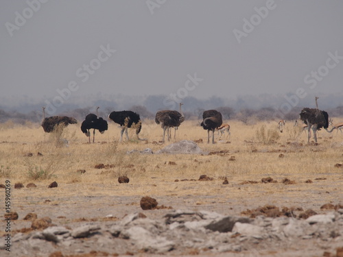 Botswana