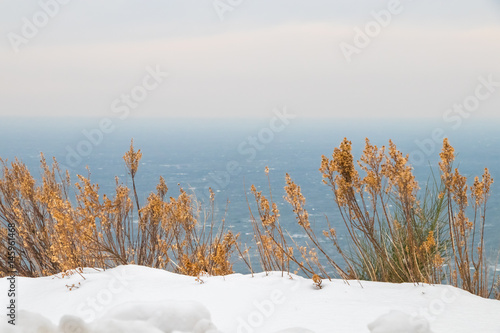 Winter Landscape