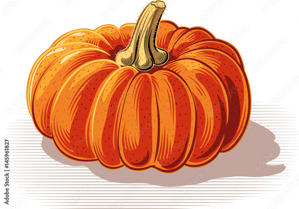ripe pumpkin on a white background. ripe pumpkin on a white background.