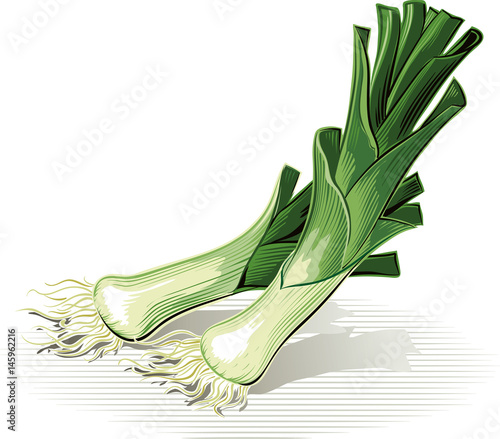 Leeks, propped on one floor.