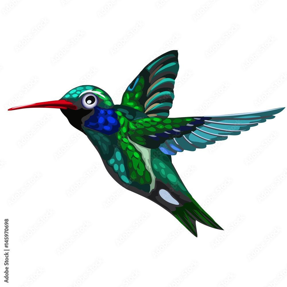 Flying green-blue bird Hummingbird. Colibri Flying green-blue bird Hummingbird. Colibri