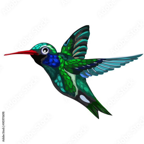 Flying green-blue bird Hummingbird. Colibri