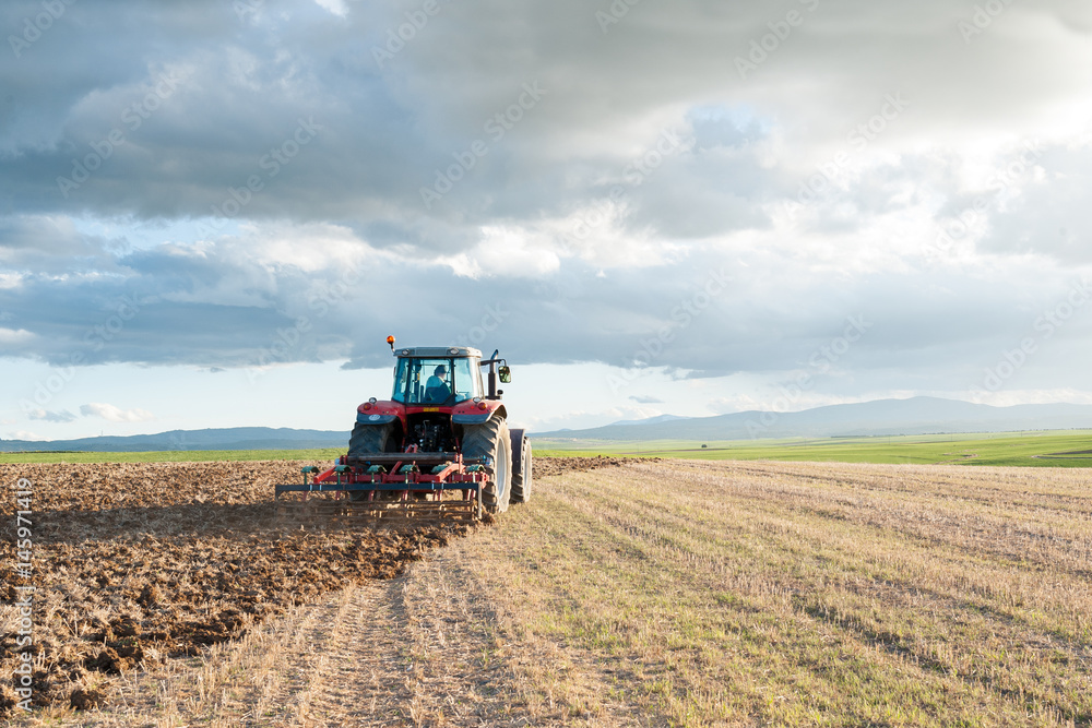 Naklejka premium Tractor arando las tierras