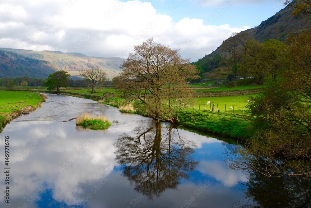 River Reflection