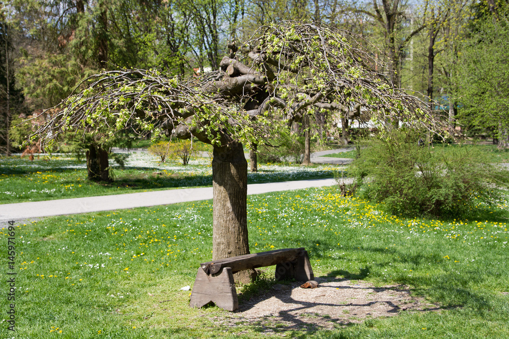 © Emanuel - Vrnjacka banja,Serbia © Emanuel - Vrnjacka banja,Serbia