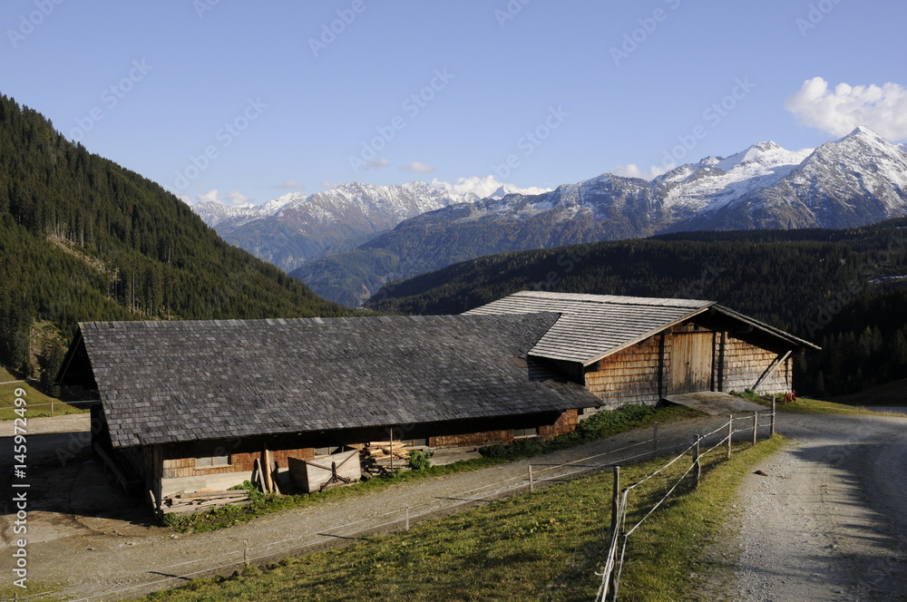 Alm bei Königsleiten Alm bei Königsleiten