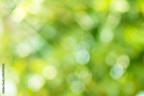 Abstract blurred nature bokeh background in green tone with sun rays