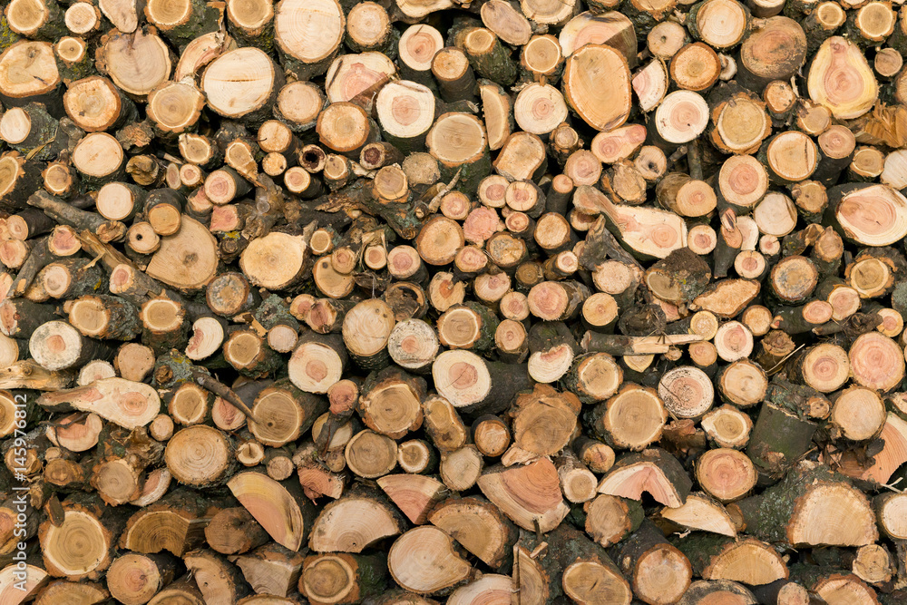 The structure of the tree in a section. Raw materials for heating the housing. The structure of the tree in a section. Raw materials for heating the housing.