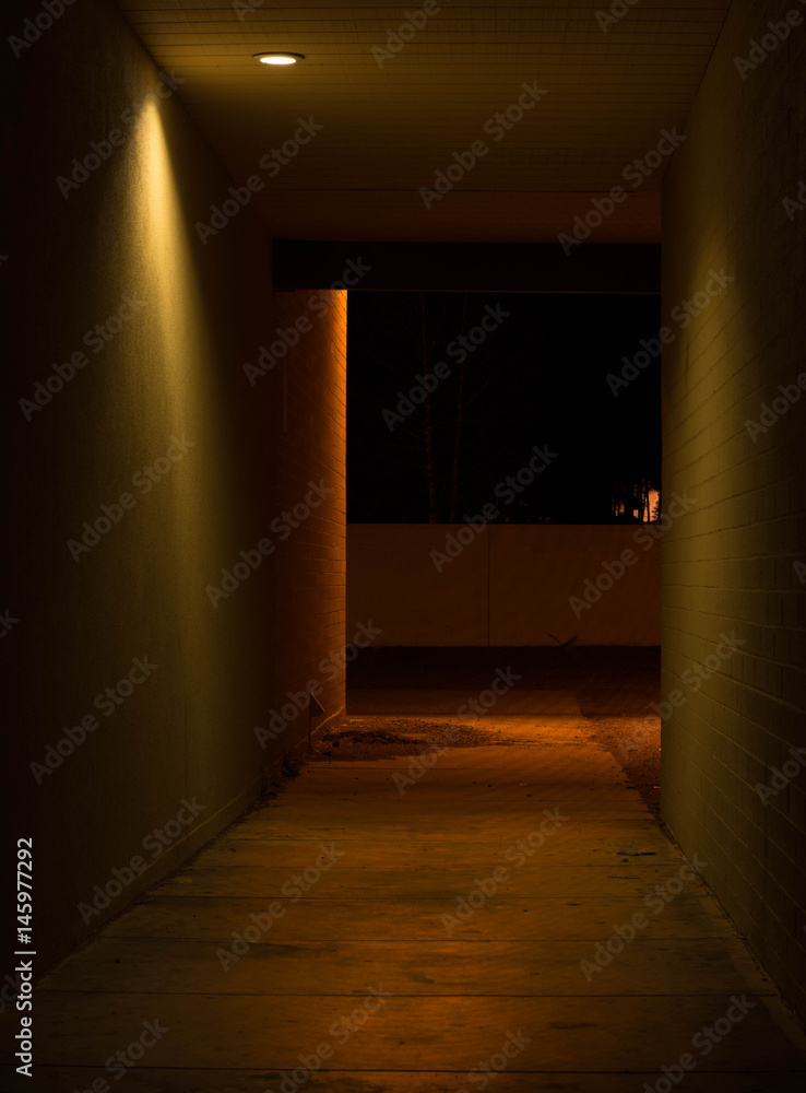 Alley Alley