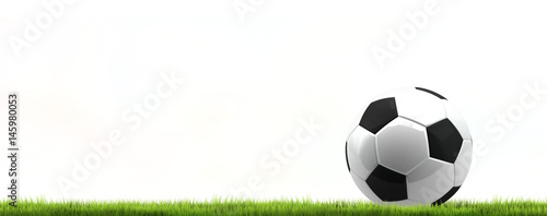 green grass isolated soccer football ball. 3d rendering