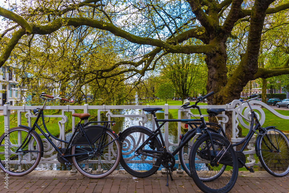 Fahrräder in Rotterdam