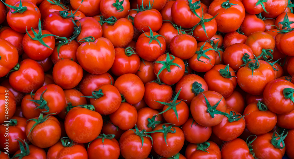 group of red tomatoes group of red tomatoes