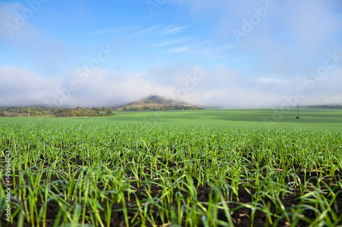 Green meadow under blue sky with a mountain in the middle and hanging over it a fog. Nature landscape.