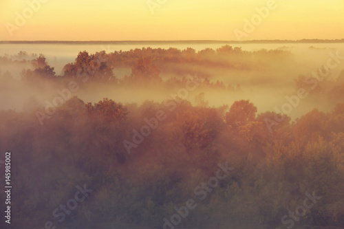 Misty landscape near Drohiczyn Poland