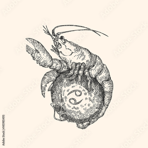 Vintage sign of zodiac. Cancer. Vector illustration.