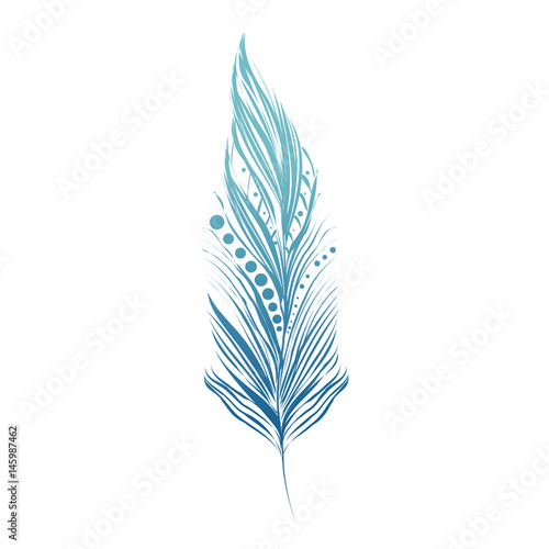 beauty and exotic feather vector illustration design
