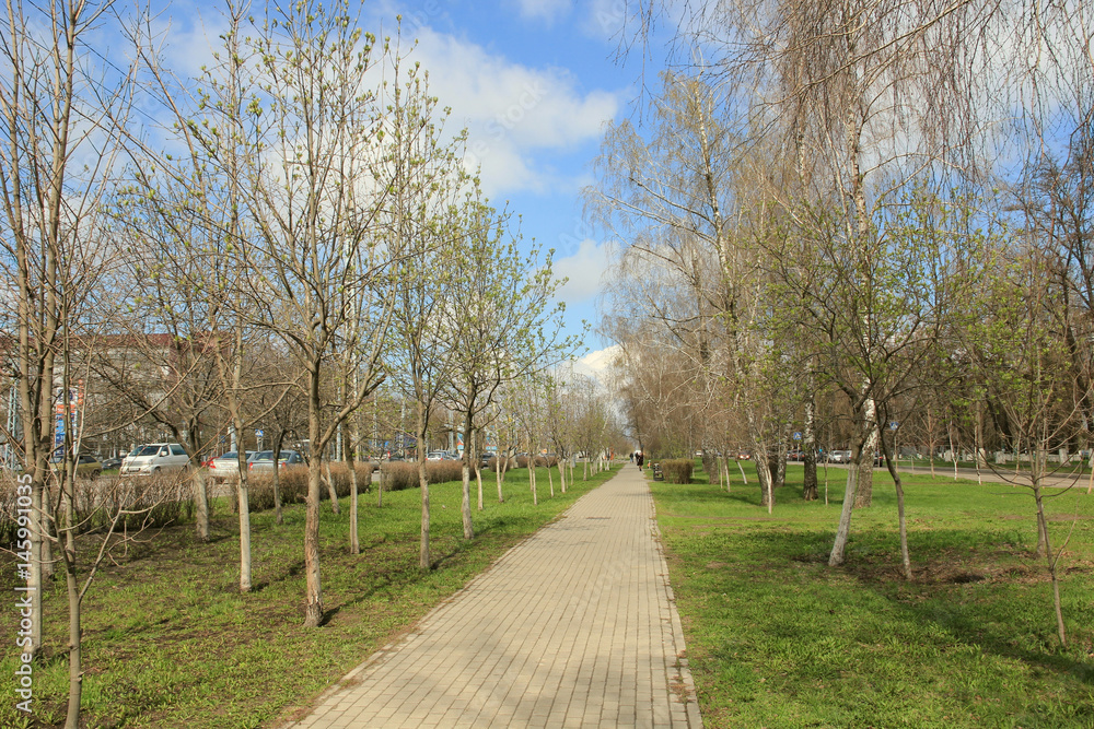 Obraz premium Spring alley