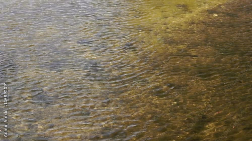 Water ripples on the river. Background slow motion Water ripples on the river. Background slow motion