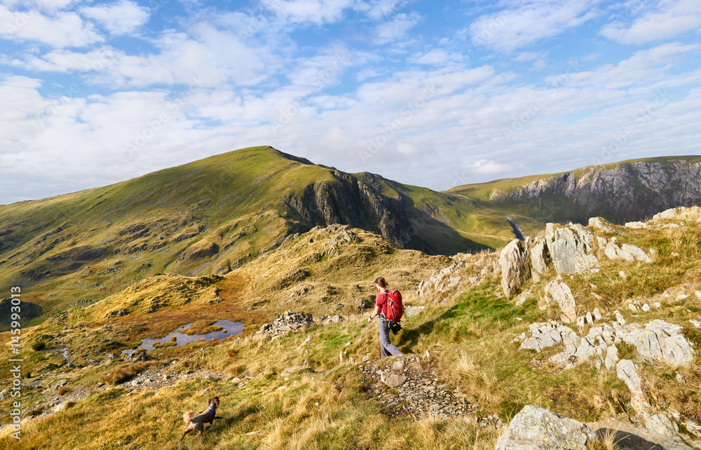 A hiker descending from High Spy towards the summit of Dale Head in the Lake District, England, UK.