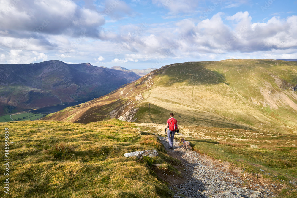 A hiker descending from Hindscarth towards the summit of Robinson in the Lake District, England, UK.