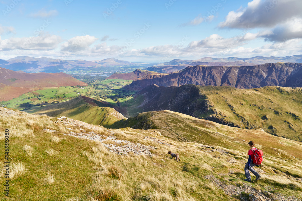 A hiker walking down towards High Snab Bank from the summit of Robinson in the Lake District, England, UK.