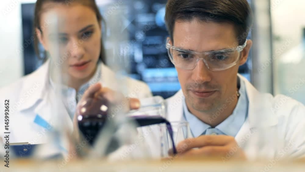 Two scientists working together at the laboratory Two scientists working together at the laboratory