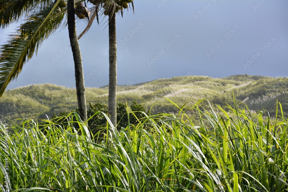 Obraz premium Mauritius