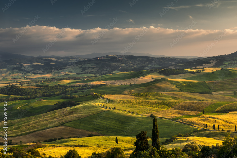 Naklejka premium Dolina Val d'Orcia