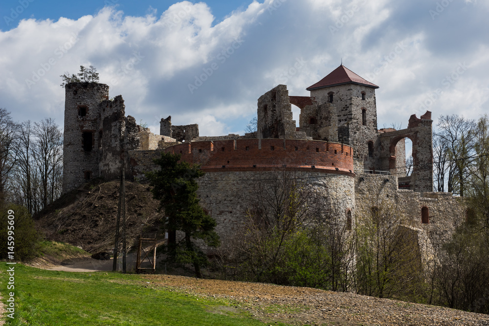 Ruins medieval castle Tenczyn in Rudno, Poland