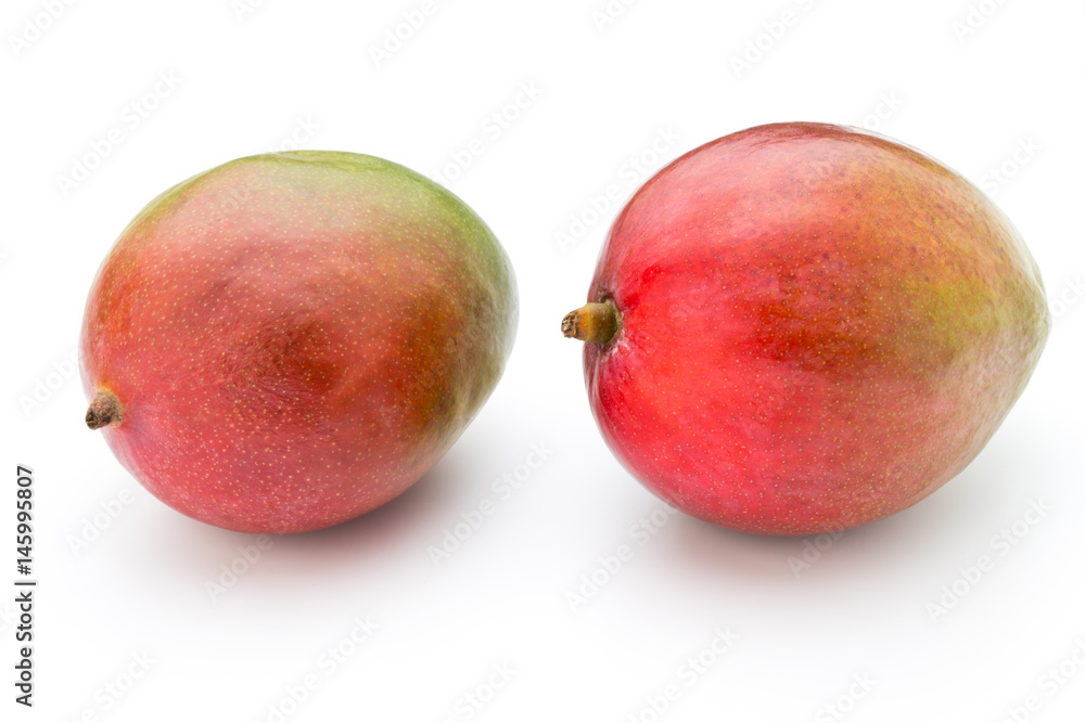 Mango fruit isolated on white background . Mango fruit isolated on white background .