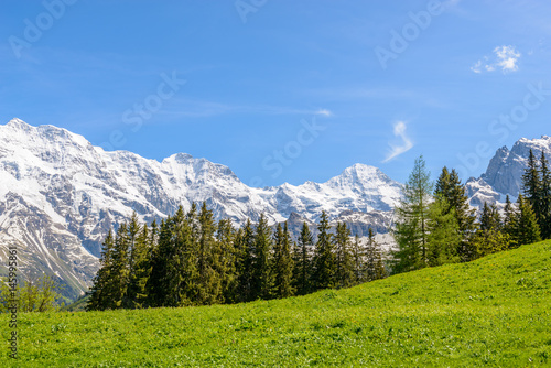The Swiss Alps at Murren  Switzerland. Jungfrau Region. The valley of Lauterbrunnen from Interlaken.